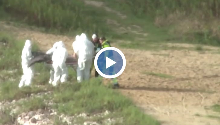 Шокиращо видео, пуснато в интернет предизвика огромен медиен интерес в Полша