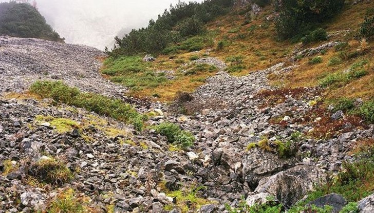 Снимката е с малка резолюция, вероятно за да успее да ви затрудни