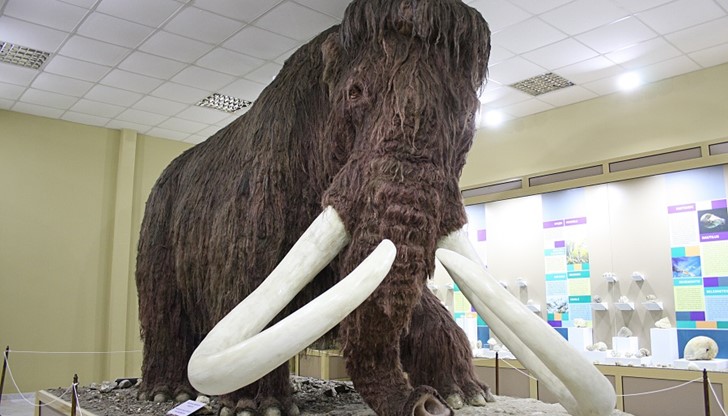 В работилницата всеки желаещ ще може да изработи мамут