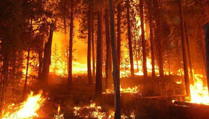 Пожарът е между град Пехчево в Македония и българската граница