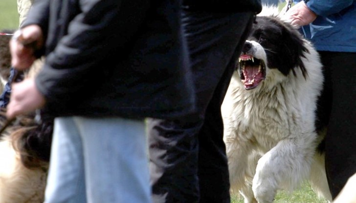 Жената е имала шанс за оцелее, защото петима души се притекли на помощ / снимката е илюстративна