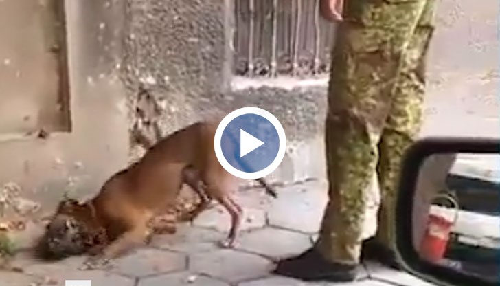 Всяко насилие и всяка подобна проявена агресия следва да бъдат санкционирани