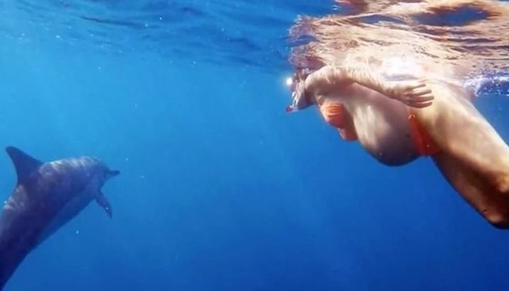 Специалистите обаче предупреждават, че планираното от двойката може да е доста опасно Специалистите обаче предупреждават, че планираното от двойката може да е доста опасно