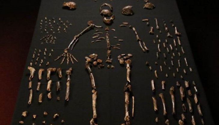 Намирането на 15-те скелета е най-голямото подобно откритие в Африка досега