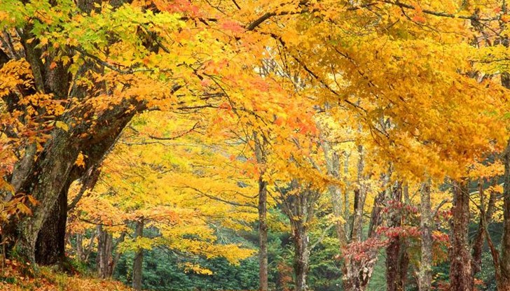 Най-високите температури през октомври ще бъдат около 21 и 26 градуса, а най-ниските - около минус 3 и 2 градуса Най-високите температури през октомври ще бъдат около 21 и 26 градуса, а най-ниските - около минус 3 и 2 градуса