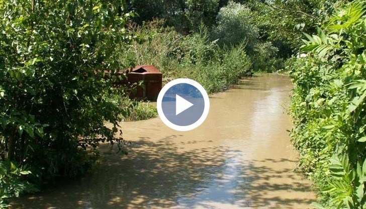 Жителите коментират, че избуялата трева изронва почвата и разрушава предпазните насипи