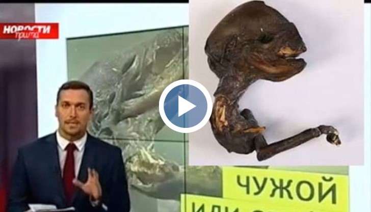 Руски учени са смаяни заради откриването на малко, подобно на извънземно