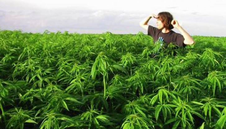 Според властите падналият от небето наркотик е с цена на улицата около 10 000 долара