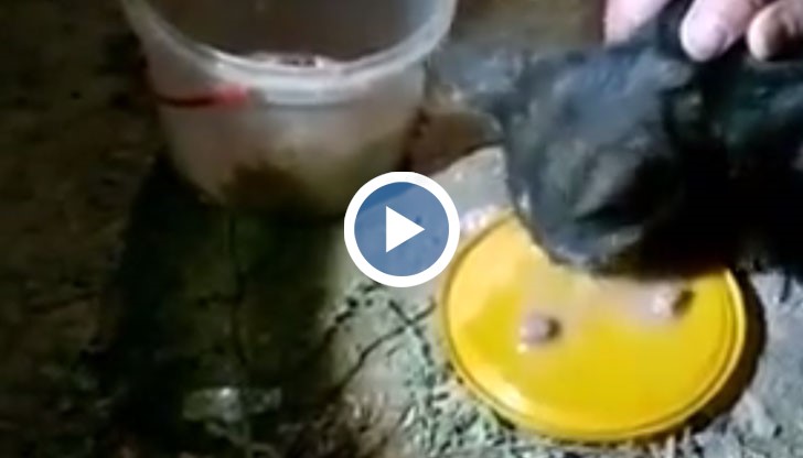 Хлябът може да ни отнемете, но не и вярата в доброто и справедливостта!