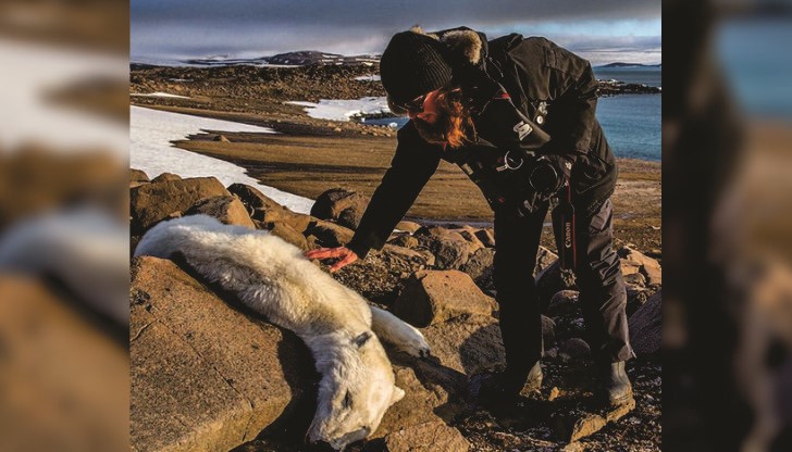 Какво глобално затопляне? Ако има такова, защо зимата е толкова студена