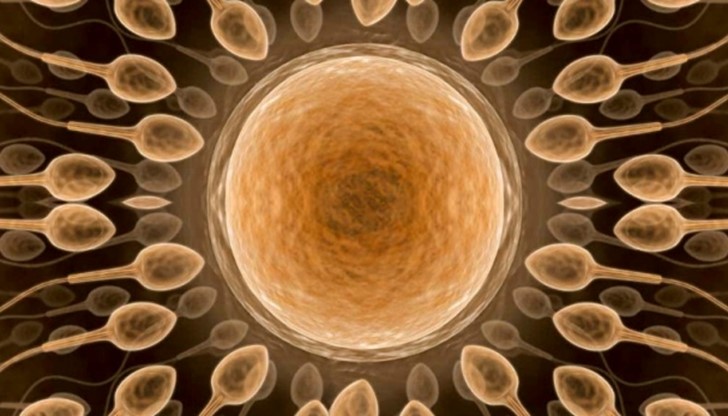 Някои китайски болници предлагат 940 щатски долара, за всеки пациент Някои китайски болници предлагат 940 щатски долара, за всеки пациент