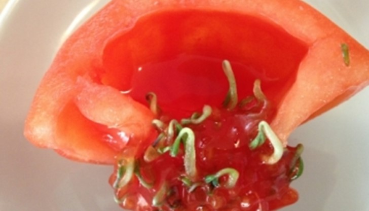 Критиците заявявят, че предложението няма да бъде съвместимо с европейските правила за свободно движение на стоки