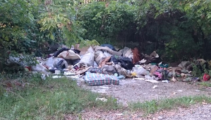 Замърсяване и незаконни сметища в гората до ловното стрелбище срещу русановото мостче