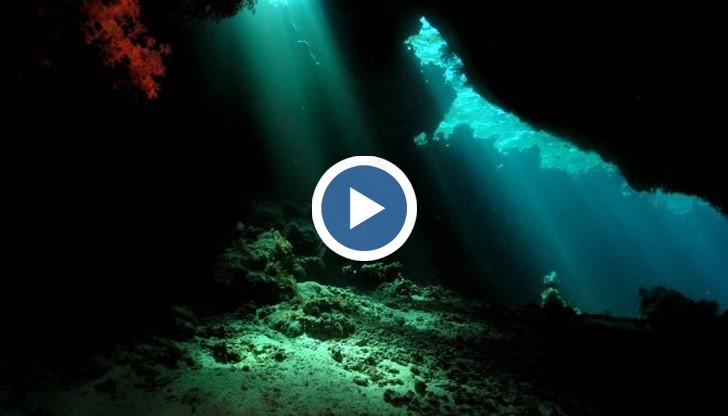 Тайната на тези звуци може би ще бъде разбрана благодарение на нови тип хидрофонни сензори