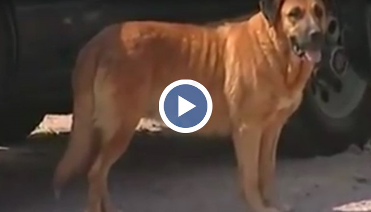 Детето веднага е било отведено в болница