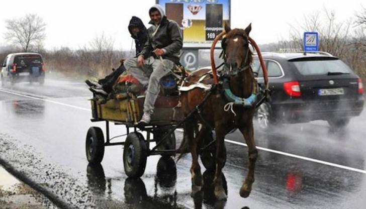 Неизрядните собственици ще бъдат спирани, а каруците – конфискувани Неизрядните собственици ще бъдат спирани, а каруците – конфискувани