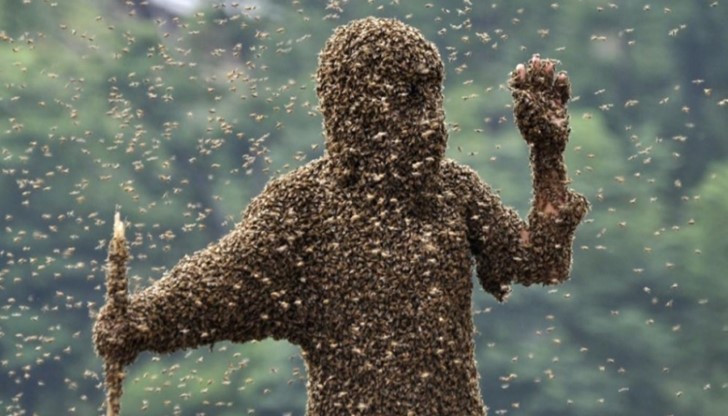 Младата жена отишла да нагледа наследствен имот Младата жена отишла да нагледа наследствен имот