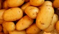 Картофите смениха парите в Якоруда