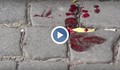 Кръв от блъснатата пешеходка оплиска паветата   в Пловдив