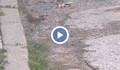Топла вода бликна на улица "Вардар" в Русе