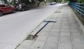 Вандали вилняха на булевард "Придунавски" в Русе