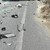Шофьор на "БМВ" загина на място при тежка катастрофа