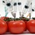 Американско ГМО  влиза в България без никаква проверка
