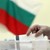 Нарушаване на изборното законодателство в Русе