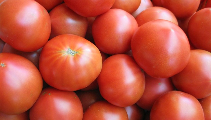 Цената на оранжерийните домати се покачва