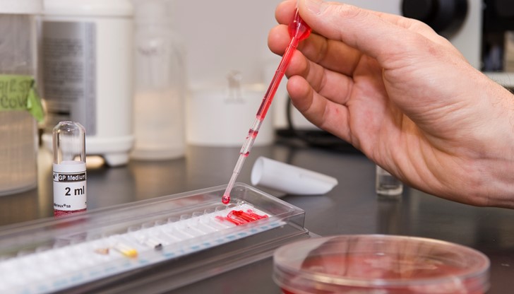 Учените разработиха микроскопични „гранати”, които ще експлодират при нагряване в тялото ни