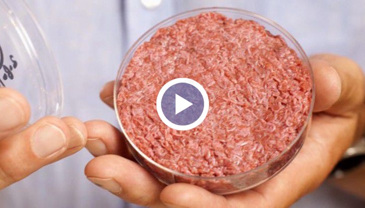 Uчени успяха да отгледат изкуствено месо и се надяват продукцията им да постигне търговска реализация през следващите пет години