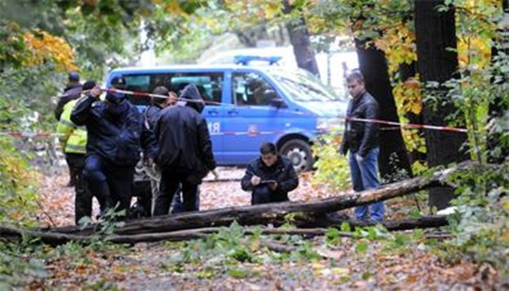 Млад мъж е бил затиснат от паднало дърво в Борисовата градина