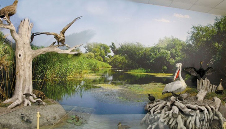 Организатор на събитието е Регионален исторически музей – Русе