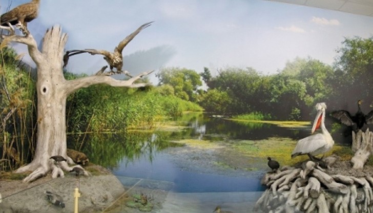 Желаещите да се включат ще заплатят само входна такса за Екомузея – 1 лв. за деца и 4 лв. за възрастни Желаещите да се включат ще заплатят само входна такса за Екомузея – 1 лв. за деца и 4 лв. за възрастни