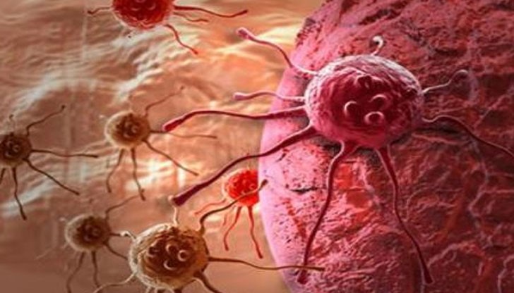 Учени са открили, че модифициран жив вирус на херпес убива мутиралите клетки на страшната болест