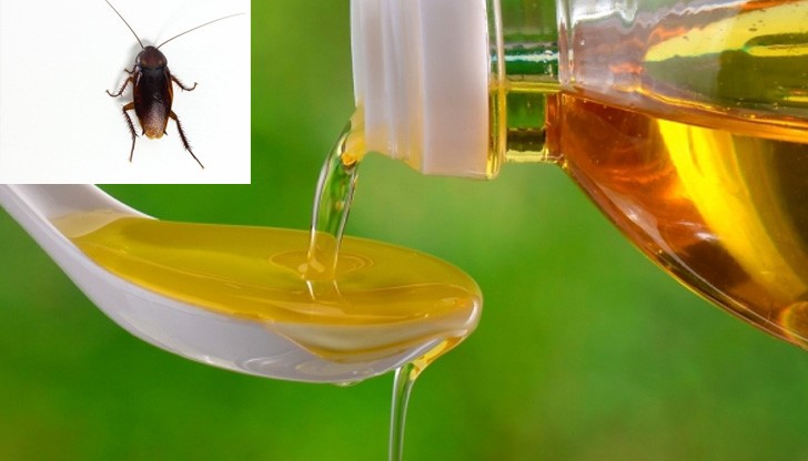 Според учените, олиото от хлебарки притежава почти същите качества като палмовото олио и това от маслини