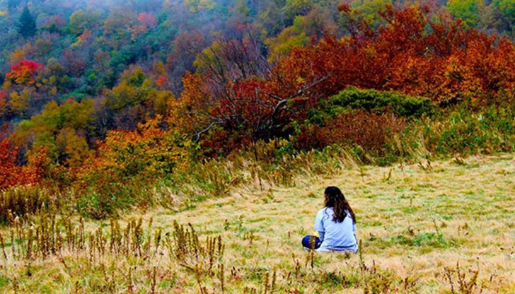 <p>Никога не казвай никога, защото съдбата винаги обръща така нещата, че да направиш това, което си се зарекъл да не правиш.</p>
