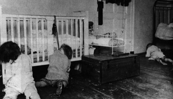 Австралийските ферми за бебета