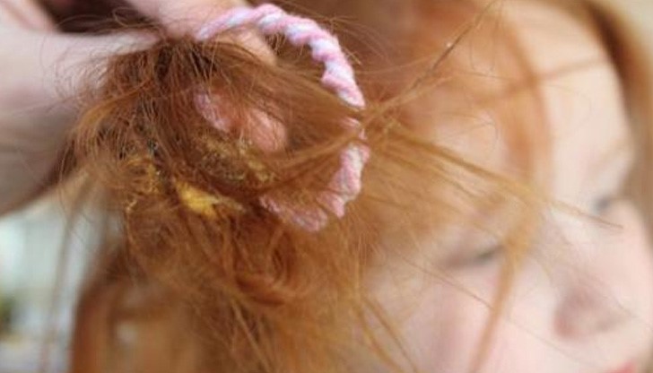 Никой от нас не е застрахован от подобно произшествие