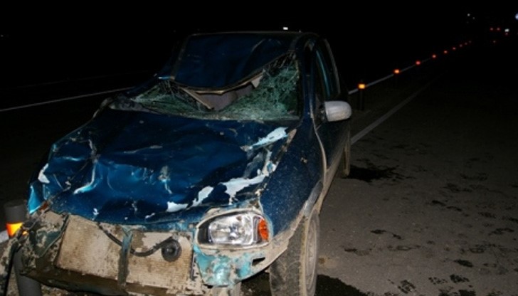 Шофьорът не я забелязл, защото била черна и не се виждала в тъмното Шофьорът не я забелязл, защото била черна и не се виждала в тъмното