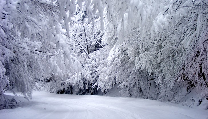 Вятърът ще отслабва, бурното вълнение по морето ще се успокои, а първият работен ден на следващата седмица ... Вятърът ще отслабва, бурното вълнение по морето ще се успокои, а първият работен ден на следващата седмица ...