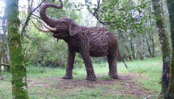 Все по-популярно става използването на върбови клони за създаването на красиви еко инсталации