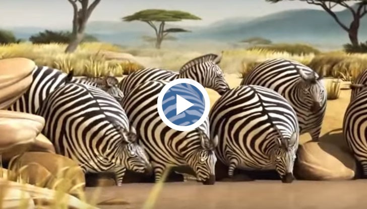 Прекаляването с хамбургери може да ви накара да се търкаляте