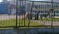 Цигани нахлуха в училищен двор с каруца