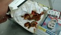 Клиент откри глава на плъх в сандвич от McDonald’s