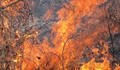 Пожарът край Габровско пак се разпали