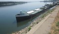 Ниското ниво на река Дунав затруднява корабоплаването
