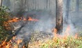 Горски пожар бушува в близост до Габрово