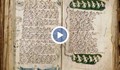 Ръкописът на Войнич - една от най-големите мистерии