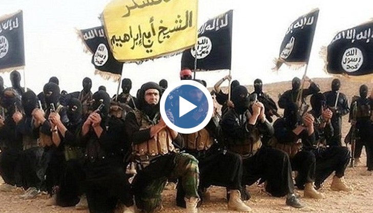 Причините за това са цинични спрямо човечеството